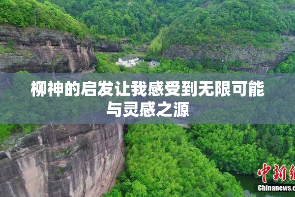 柳神的启发让我感受到无限可能与灵感之源