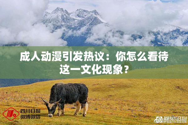 成人动漫引发热议：你怎么看待这一文化现象？