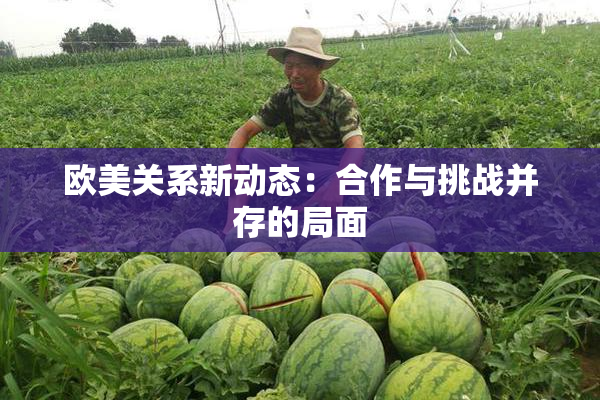 欧美关系新动态：合作与挑战并存的局面