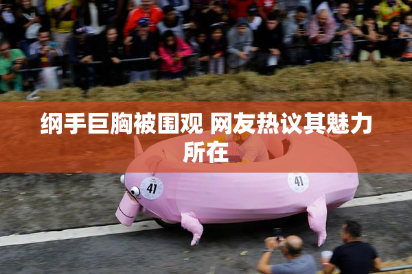 纲手巨胸被围观 网友热议其魅力所在