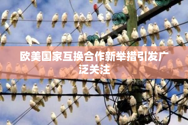 欧美国家互换合作新举措引发广泛关注