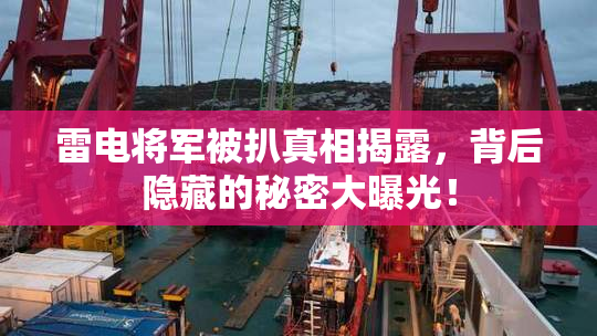 雷电将军被扒真相揭露，背后隐藏的秘密大曝光！