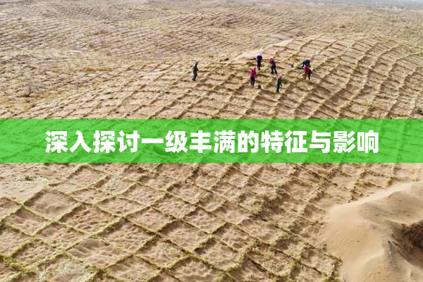 深入探讨一级丰满的特征与影响