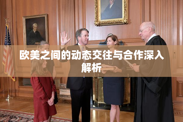 欧美之间的动态交往与合作深入解析