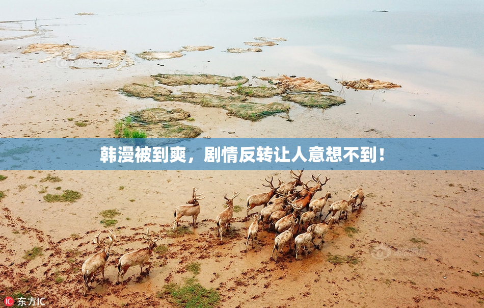 韩漫被到爽，剧情反转让人意想不到！