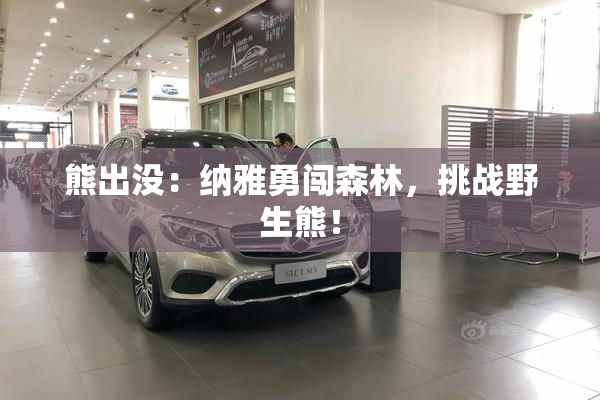 熊出没：纳雅勇闯森林，挑战野生熊！