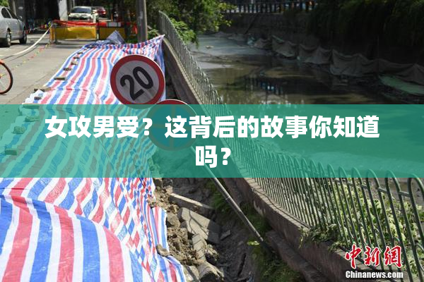 女攻男受？这背后的故事你知道吗？