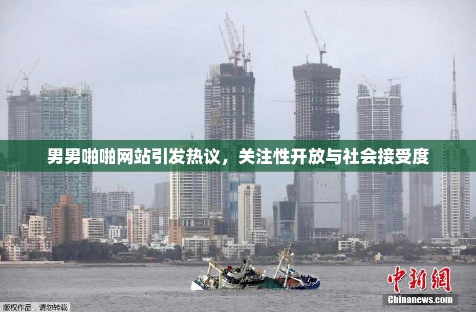 男男啪啪网站引发热议，关注性开放与社会接受度