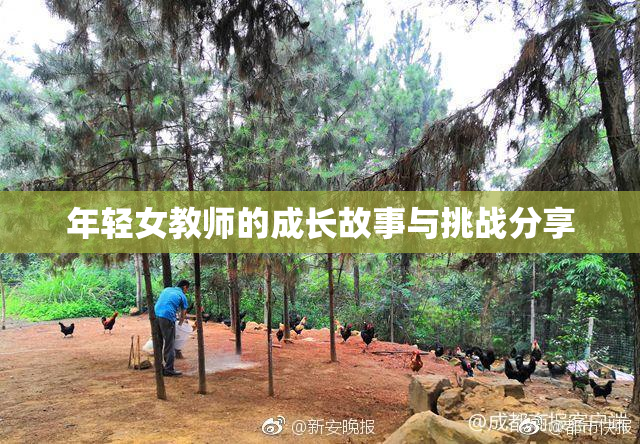 年轻女教师的成长故事与挑战分享