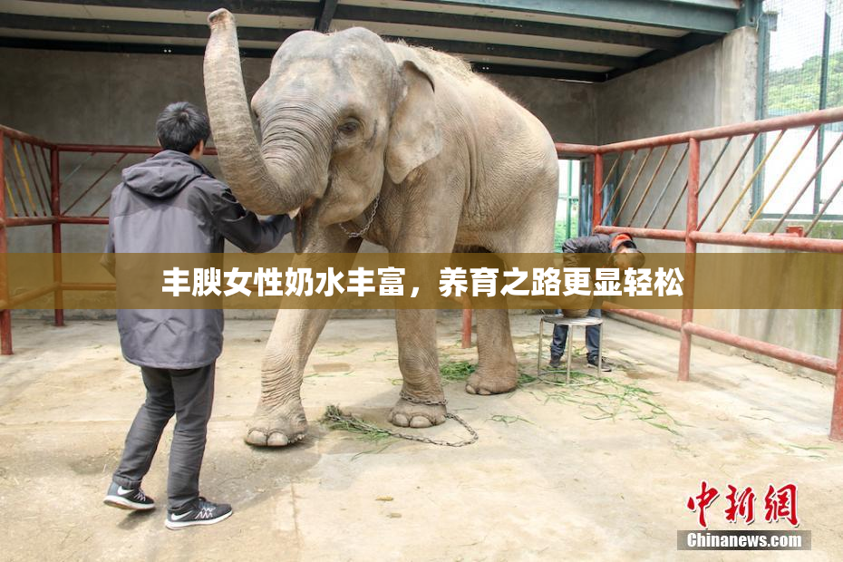 丰腴女性奶水丰富，养育之路更显轻松
