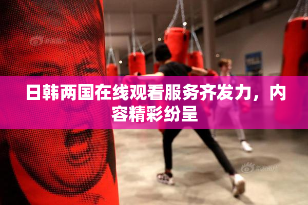 日韩两国在线观看服务齐发力，内容精彩纷呈