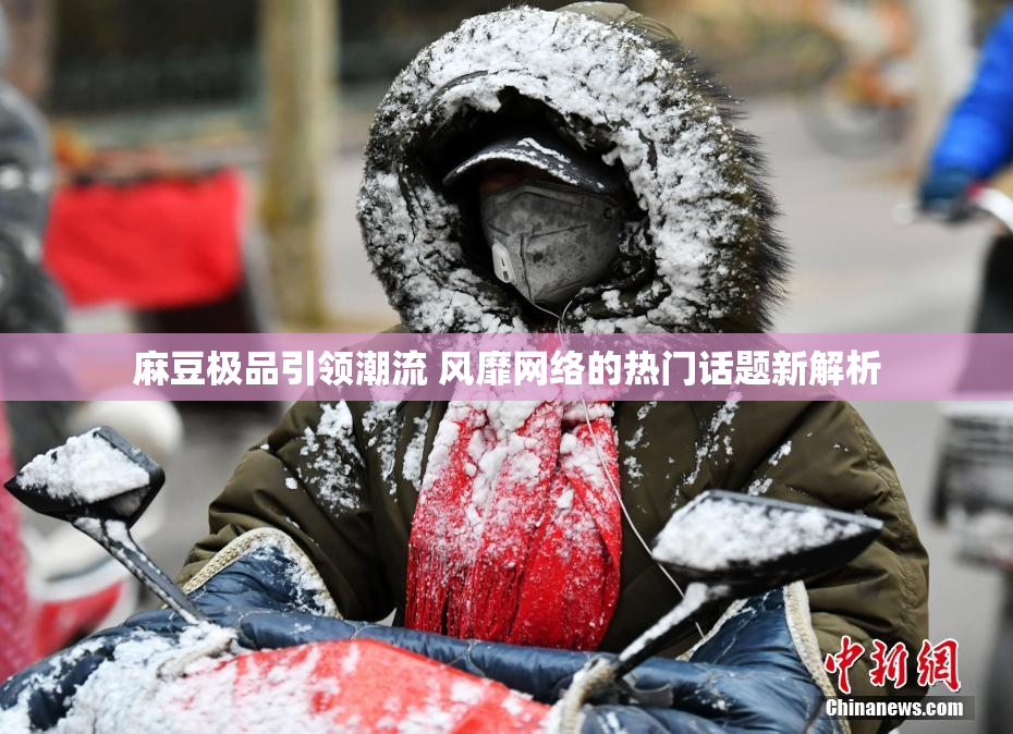 麻豆极品引领潮流 风靡网络的热门话题新解析