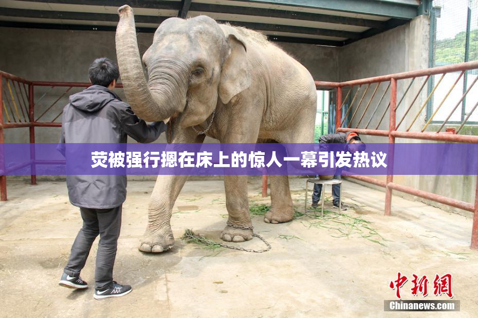 荧被强行摁在床上的惊人一幕引发热议
