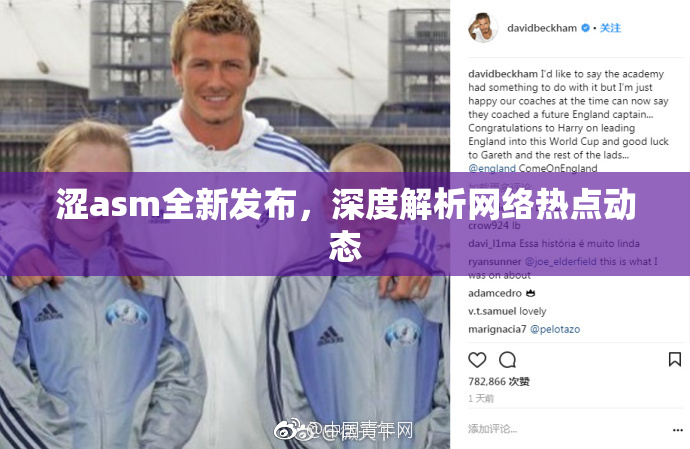 涩asm全新发布，深度解析网络热点动态