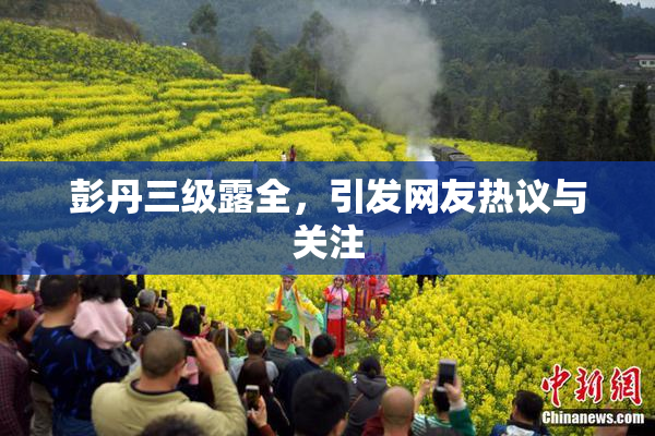 彭丹三级露全，引发网友热议与关注