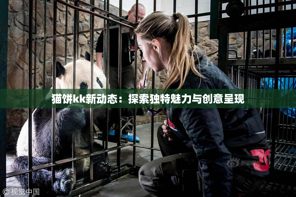 猫饼kk新动态：探索独特魅力与创意呈现
