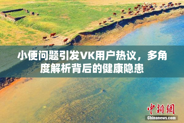 小便问题引发VK用户热议，多角度解析背后的健康隐患