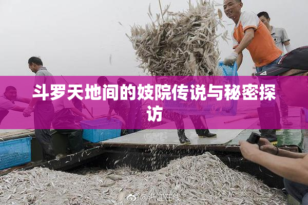 斗罗天地间的妓院传说与秘密探访