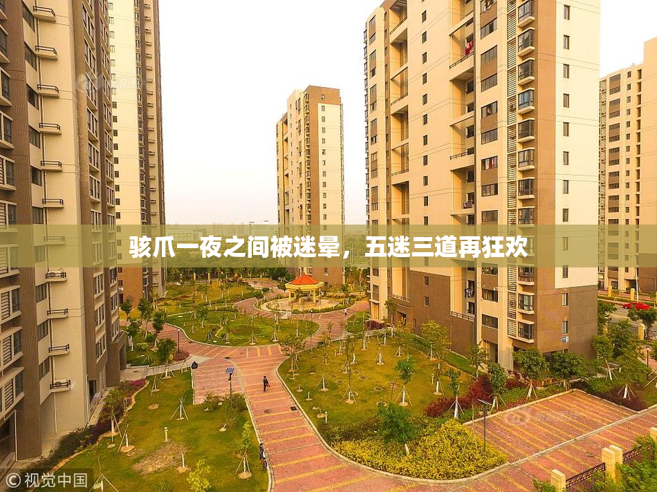 骇爪一夜之间被迷晕，五迷三道再狂欢