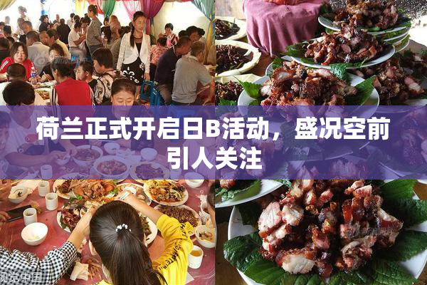 荷兰正式开启日B活动，盛况空前引人关注