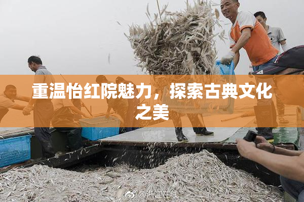 重温怡红院魅力，探索古典文化之美