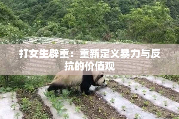 打女生辟重：重新定义暴力与反抗的价值观