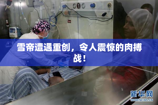 雪帝遭遇重创，令人震惊的肉搏战！