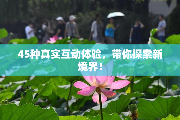 45种真实互动体验，带你探索新境界！