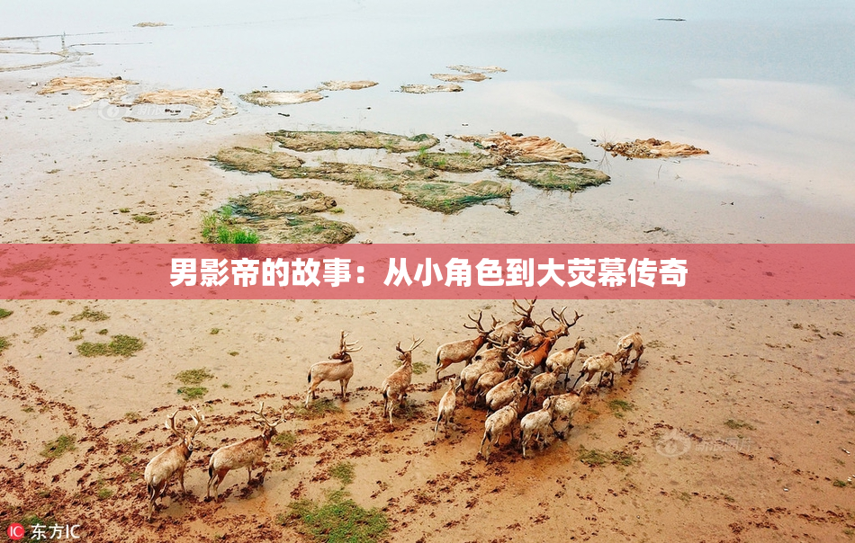 男影帝的故事：从小角色到大荧幕传奇