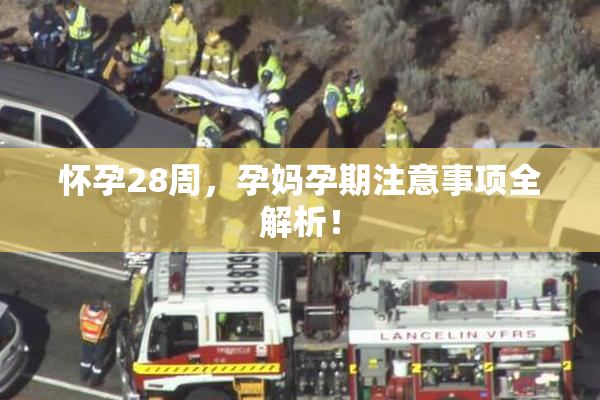 怀孕28周，孕妈孕期注意事项全解析！