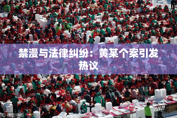 禁漫与法律纠纷：黄某个案引发热议