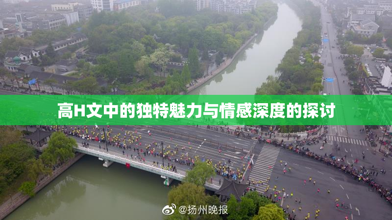 高H文中的独特魅力与情感深度的探讨