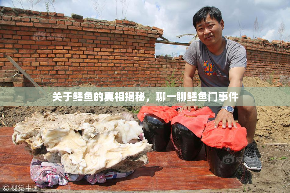 关于鳝鱼的真相揭秘，聊一聊鳝鱼门事件