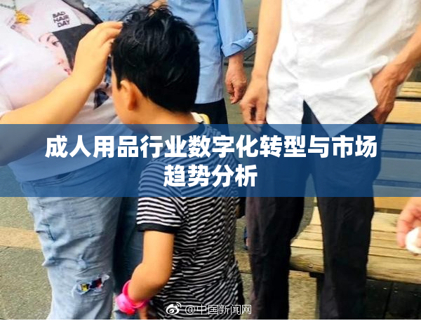 成人用品行业数字化转型与市场趋势分析