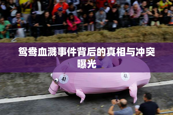 鸳鸯血溅事件背后的真相与冲突曝光