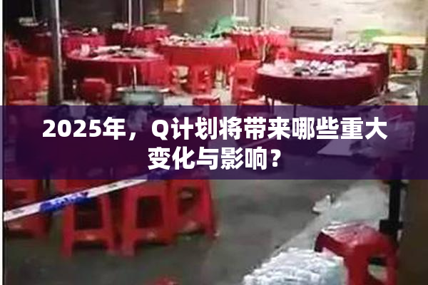 2025年，Q计划将带来哪些重大变化与影响？