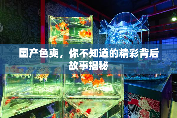 国产色爽，你不知道的精彩背后故事揭秘