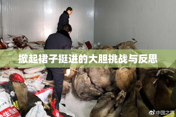 掀起裙子挺进的大胆挑战与反思