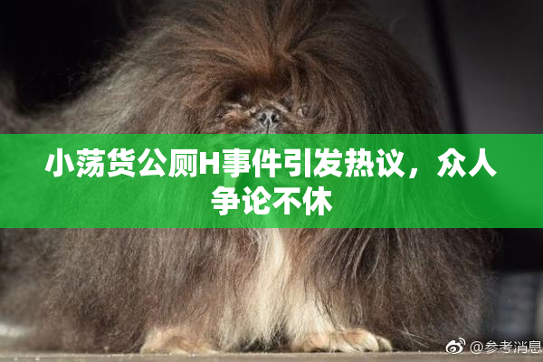 小荡货公厕H事件引发热议，众人争论不休