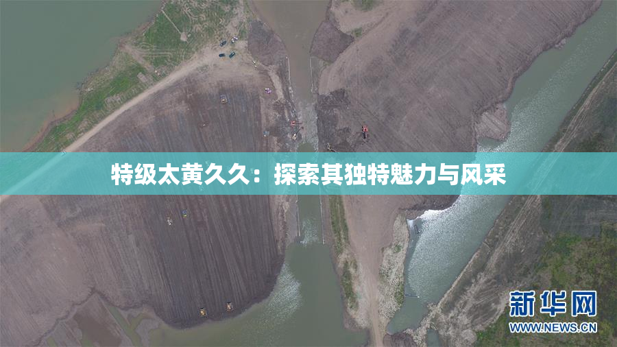 特级太黄久久：探索其独特魅力与风采