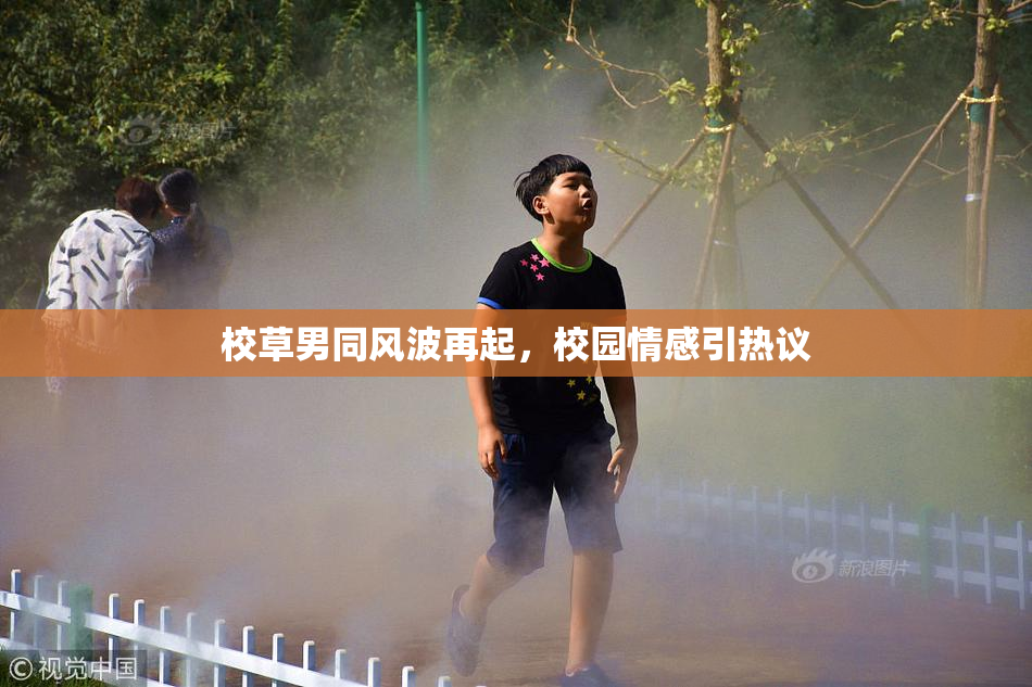 校草男同风波再起，校园情感引热议