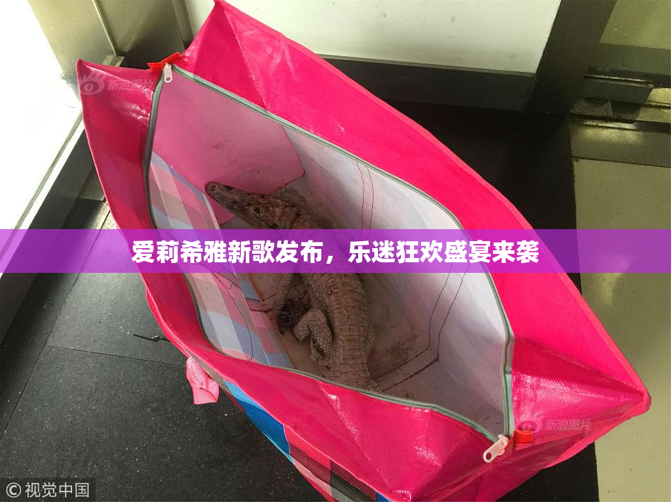 爱莉希雅新歌发布，乐迷狂欢盛宴来袭