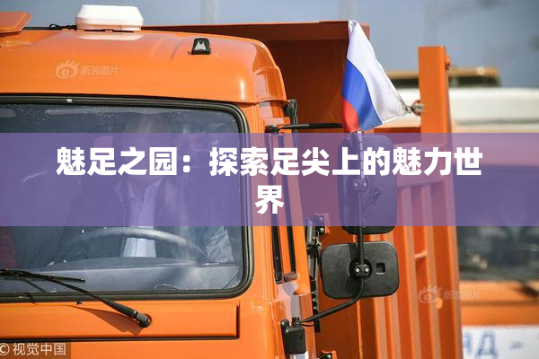 魅足之园：探索足尖上的魅力世界