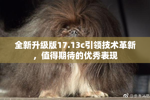 全新升级版17.13c引领技术革新，值得期待的优秀表现