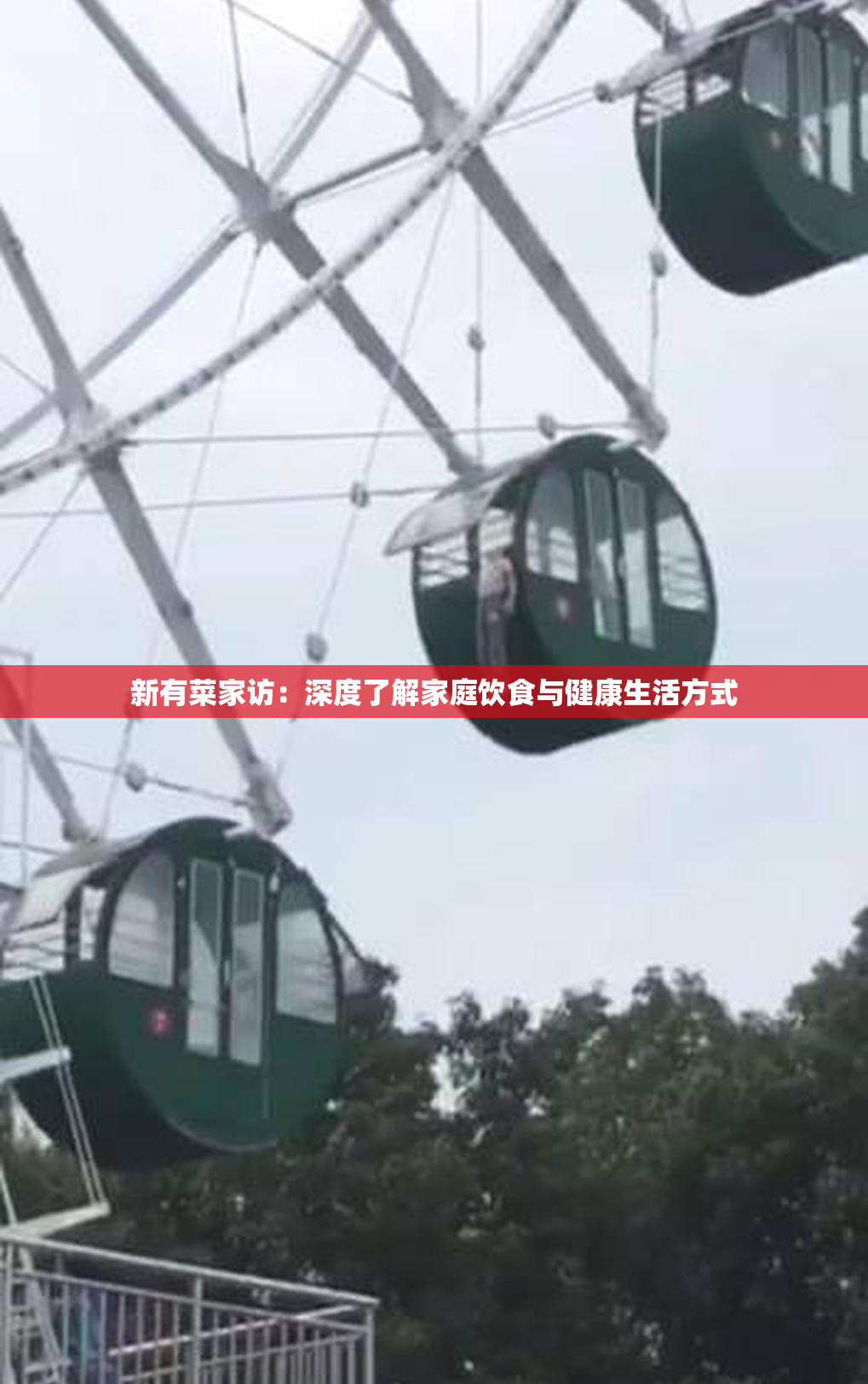 新有菜家访：深度了解家庭饮食与健康生活方式