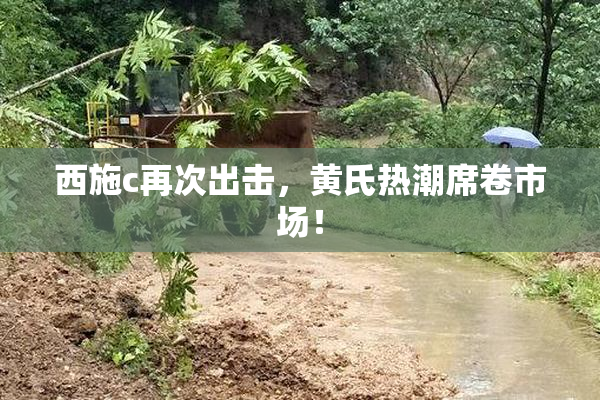 西施c再次出击，黄氏热潮席卷市场！