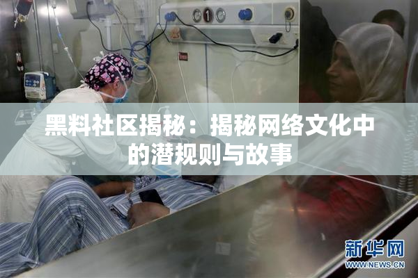 黑料社区揭秘：揭秘网络文化中的潜规则与故事