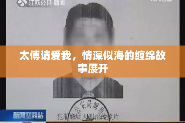 太傅请爱我，情深似海的缠绵故事展开