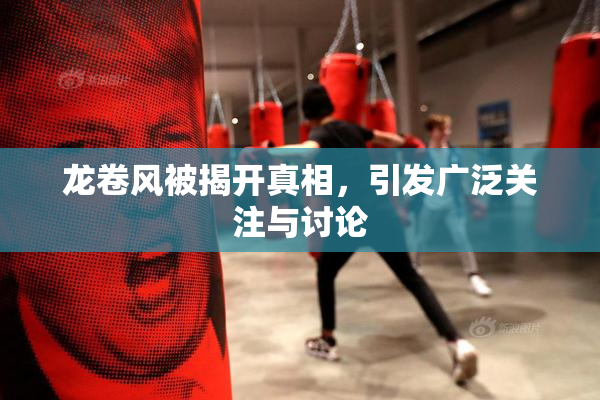 龙卷风被揭开真相，引发广泛关注与讨论