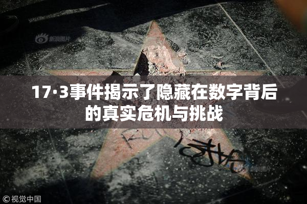 17·3事件揭示了隐藏在数字背后的真实危机与挑战